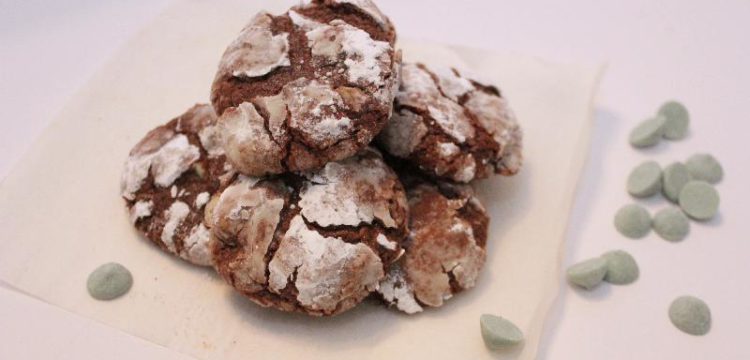 Thin Mint Crinkle Cookies are fun and delicious for anytime, but especially the holidays! | #ChristmasCookies week | BearandBugEats.com