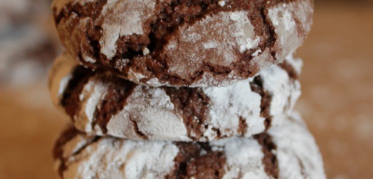 Chocolate Crinkles! Easier than they look, perfect for gifting or munching | BearandBugEats.com