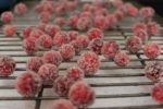 Frosted Cranberries are a super simple and fun addition to your holiday table! Serve as a snack, or use as a beautiful garnish! | desserts | Thanksgiving recipes | holiday recipes | #CranberryWeek | BearandBugEats.com