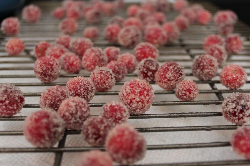 Frosted Cranberries are a super simple and fun addition to your holiday table! Serve as a snack, or use as a beautiful garnish! | desserts | Thanksgiving recipes | holiday recipes | #CranberryWeek | BearandBugEats.com