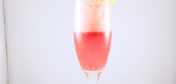 Sparkling Cranberry Sangria with garnishes | BearandBugEats.com